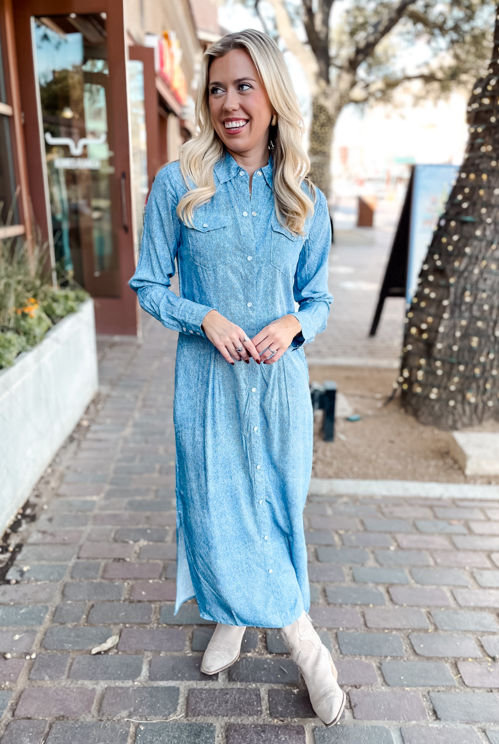 Wynonna Pearl Snap Dress - Blue