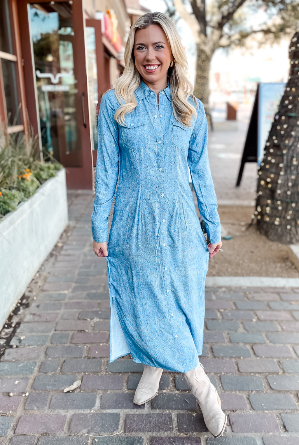 Wynonna Pearl Snap Dress - Blue