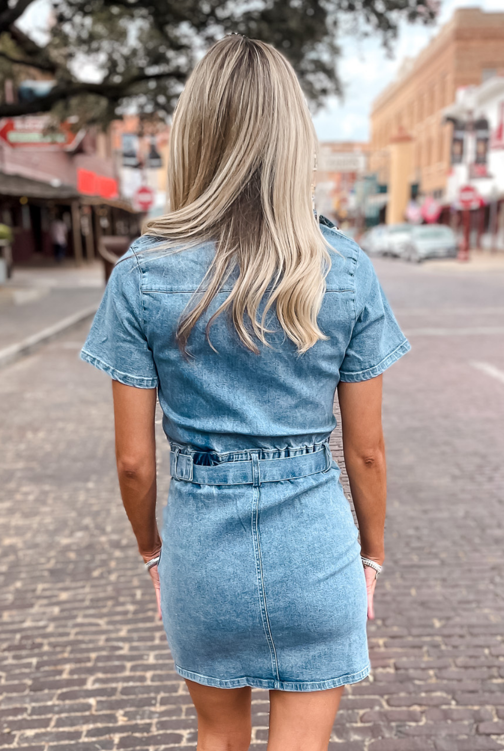 Kate Denim Utility Dress