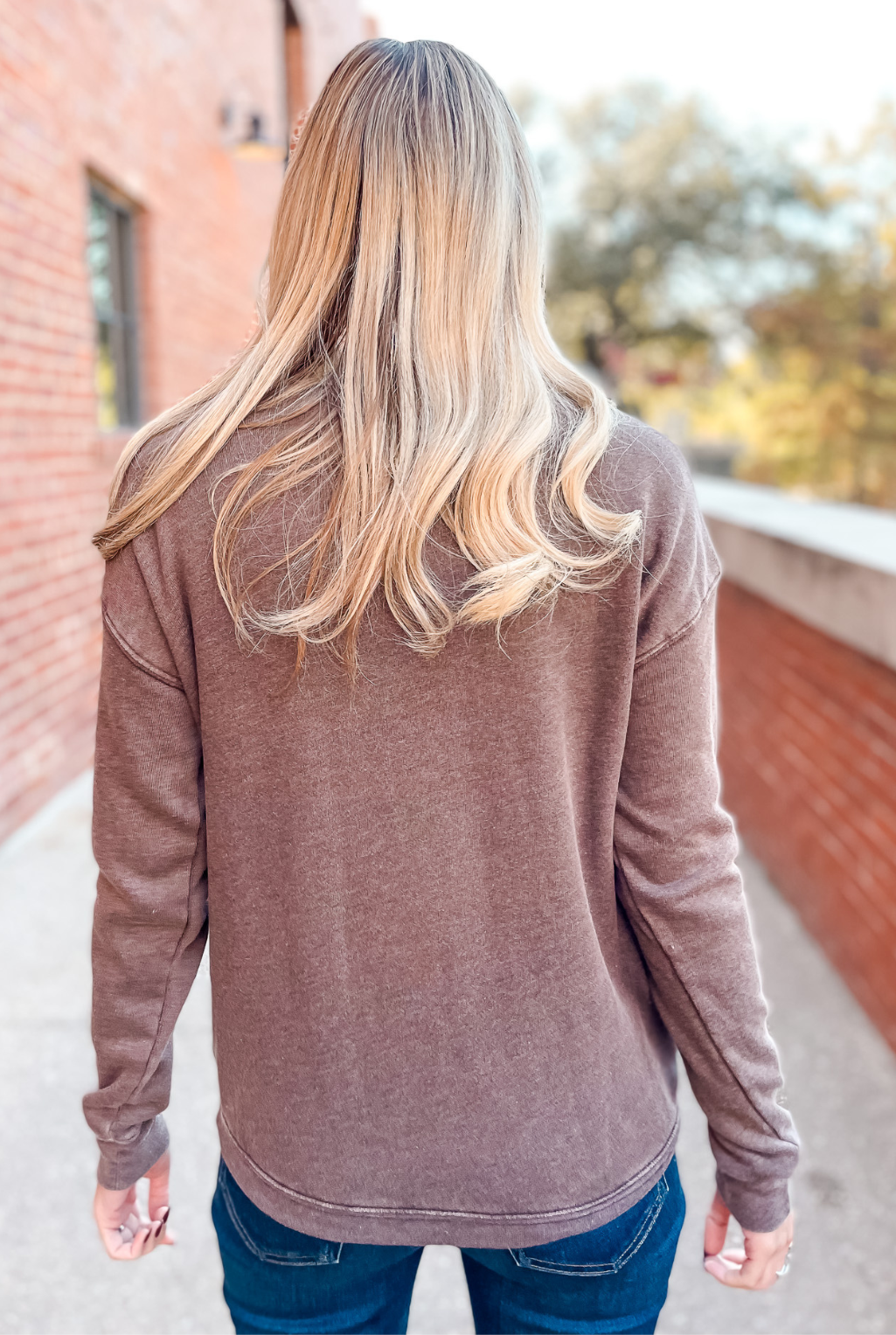 Sweatshirt - Texas Wild West - Brown