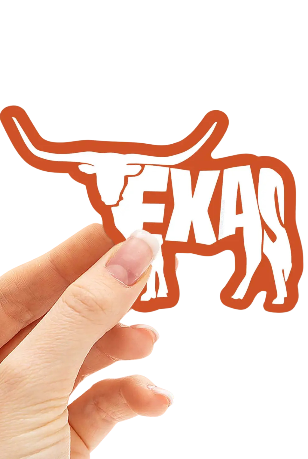 Texas Longhorn Sticker - Small